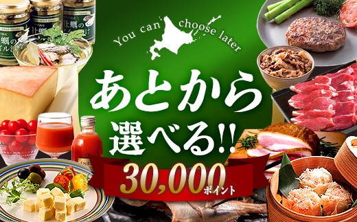 【あとから選べるリンベルデジタルギフト】北海道ふるさとギフト 30,000point 北海道 デジタルギフト カタログギフト ギフト券 ギフトリスト チケット ポイント制 後から選べる プレゼント 贈