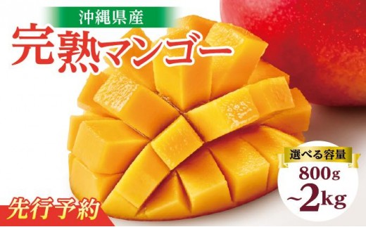 
                  〈選べる内容量〉【2026年発送】＜優品＞完熟アップルマンゴー約800g（化粧箱）2玉～3玉   I  アップルマンゴー あっぷるまんごー マンゴー まんごー フルーツ 完熟 ギフト 化粧箱 優品 800g    沖縄県 南城市
                