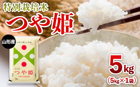 【限定数】令和6年産 山形産 特別栽培米 つや姫 5kg FY25-304