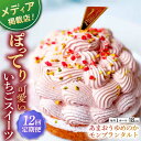 【ふるさと納税】【全12回定期便】あまおうゆめのかモンブラン（18cm）【心優 −Cotoyu Sweets−】[KAA449]