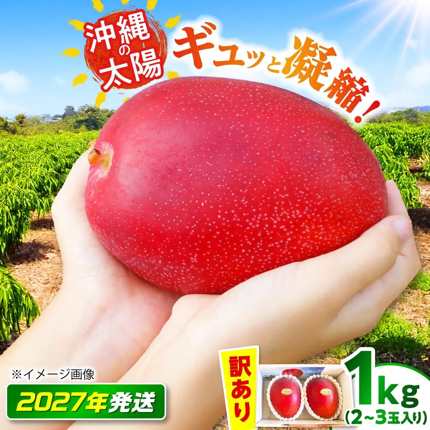 【訳あり】マンゴー 太陽のめぐみ 1kg BCEW003