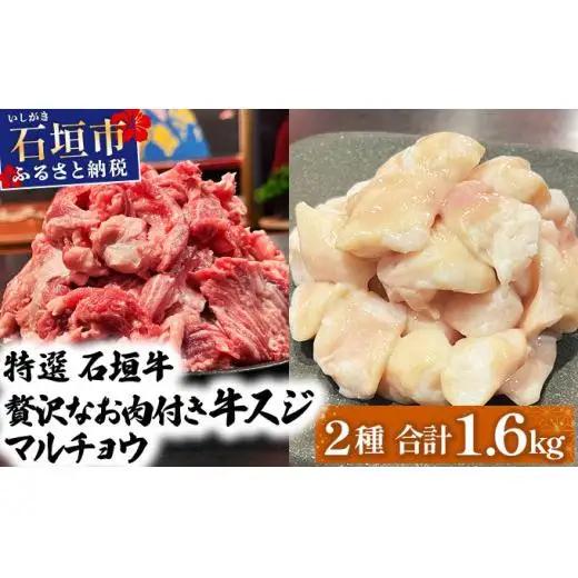 牛スジ500g×2、マルチョウ300ｇ×2の大容量セット　IM-24