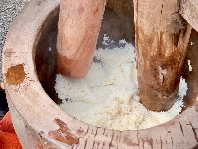 信州米 こしひかり 白米