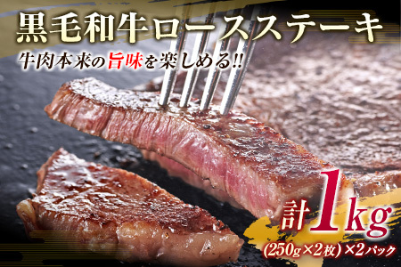 【令和6年6月配送】数量限定 黒毛和牛 ロース ステーキ 250g×4枚 豚 ハンバーグ 100g×4個 合計1.4kg 肉 牛 牛肉 国産 ロースステーキ 配送月が選べる 送料無料_FA9-23-0