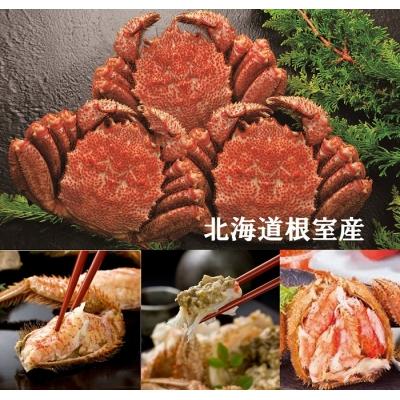 ふるさと納税 根室市 ＜12/21まで年内配送＞★ボイル毛がに3尾 C-01016