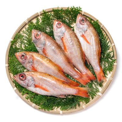 ふるさと納税 浜田市 大秀商店の「のどぐろ(煮付け用)」個包装5尾入り