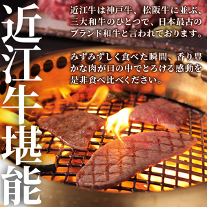 近江牛 焼肉 7種 盛り合わせ 360g 冷凍 ( サーロイン フィレ ヘレ 希少部位5種 ミスジ クラシタ イチボ ヒウチ ササバラ ラムシン 等 赤身  黒毛 ブランド 近江牛 牛肉 三大 近江牛