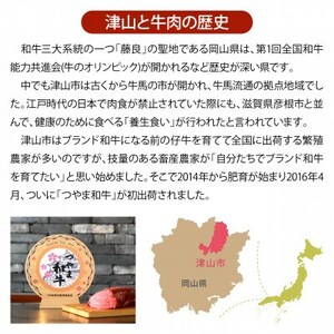 【岡山県産黒毛和牛】つやま和牛切り落とし600g【配送不可地域：離島】【1402232】
