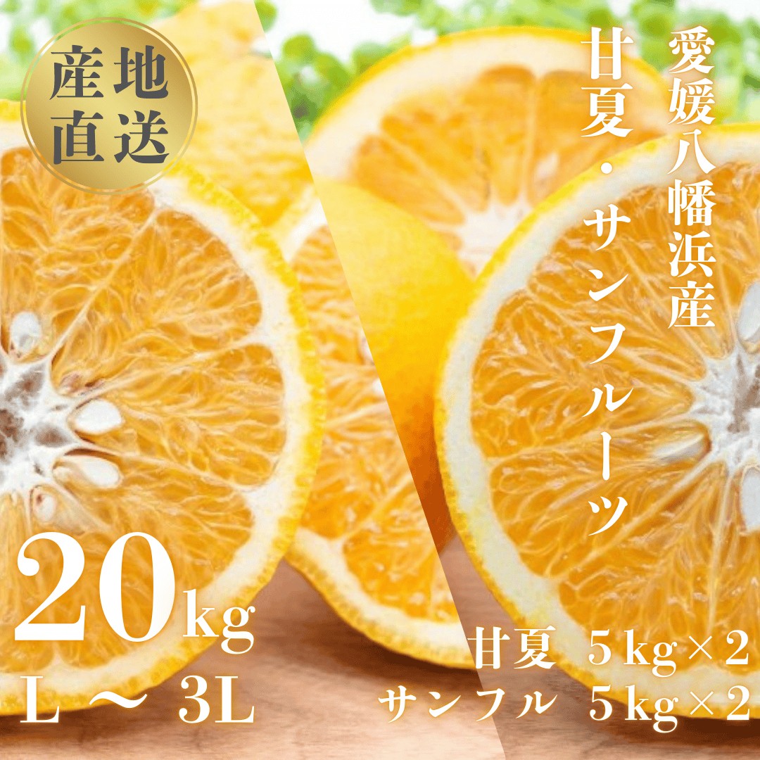 
                  甘夏&サンフルーツ20kg (各10kg)＜H20-84＞【1625127】 YWTI079
                