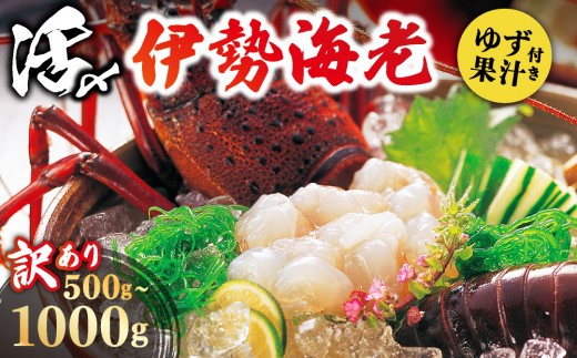 
                  ＜選べる容量＞訳あり 活〆伊勢海老 500g/1000g｜国産 東洋町産 天然 新鮮 海鮮 ゆず果汁付き 刺身 焼き ボイル 四国 お取り寄せ お祝い 記念日 贈り物 送料無料
                