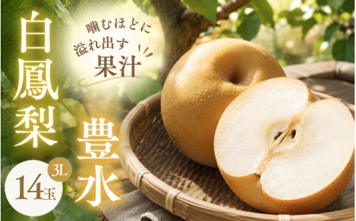 
                  【季節限定】 梨 豊水《三重の白鳳梨》白鳳梨（豊水）3L 14玉 ※お届けは9月上旬から9月中旬頃の予定です/強い甘みとシャキッとした食感！たっぷりの果汁  梨 なし 豊水梨 豊水 ほうすいなし 果物 フルーツ 新鮮 おすすめ みずみずしい 味覚 旬 水分 甘み fruit nasi 果肉 果汁 3L 14玉 大玉 ブランド梨 白鳳梨 はくほうなし 伊賀産 三重県 伊賀市【hkns0001】
                