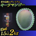 【ふるさと納税】【選べる内容量】【2025年8月より順次発送】【先行予約】稀少プレミアム！！豊見城市産キーツマンゴー！(BV001-1)