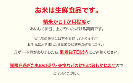 【先行予約】 新米 米 5kg 5kg×1 雪若丸 精米 令和7年産 2025年産 山形県産 ※沖縄・離島への配送不可 mk-ywxxa5