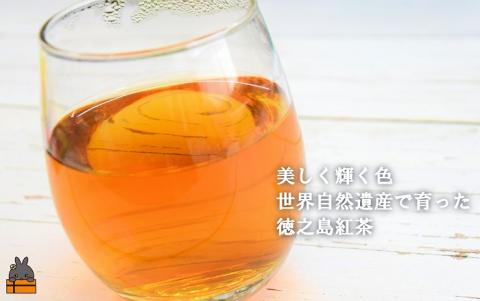 国産べにふうきの豊かな味わい。徳之島紅茶40g（ティーパック15g×16P） ( 国産 紅茶 ティー Tea 茶葉 ティーパック ミルクティー べにふうき お菓子 スイーツ 徳之島 奄美 鹿児島 )