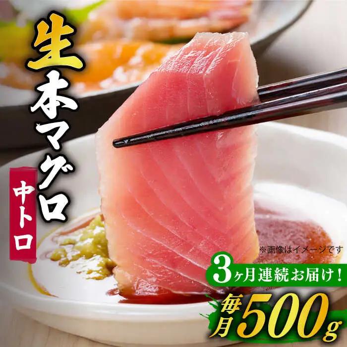 【全3回定期便】五島列島産養殖生本かみまぐろ 中トロ 500g[RBP064] 本マグロ 本まぐろ 定期便 本マグロ 本まぐろ 定期便 本マグロ 本まぐろ 定期便九州 長崎