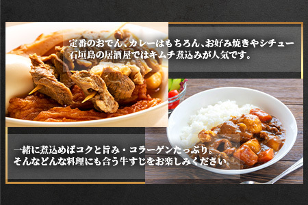 石垣牛・牛すじ ３kg （1kg×3） 冷凍便【 沖縄県 石垣市 牛肉 お肉 牛スジ 牛筋 煮込み おでん カレー 】 SI-86