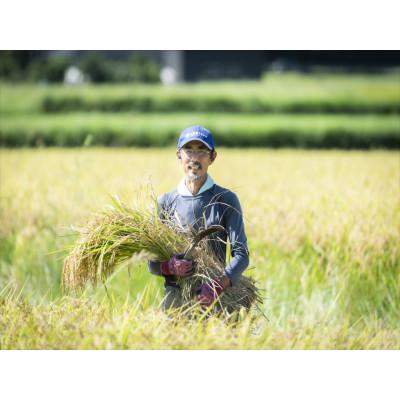 ふるさと納税 鬼北町 【愛媛県ブランド米】ひめの凜(プレミアムクオリティ)5kg×2(計10kg) |  | 01