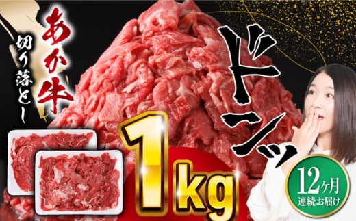 
【全12回定期便】熊本県産 あか牛 切り落とし 合計12kg (500g×2P) 熊本 赤牛 褐牛 あかうし 褐毛和種 肥後 冷凍 国産 牛肉【五右衛門フーズ】[YBZ022] 120000 120,000 120000円 120,000円 12万円
