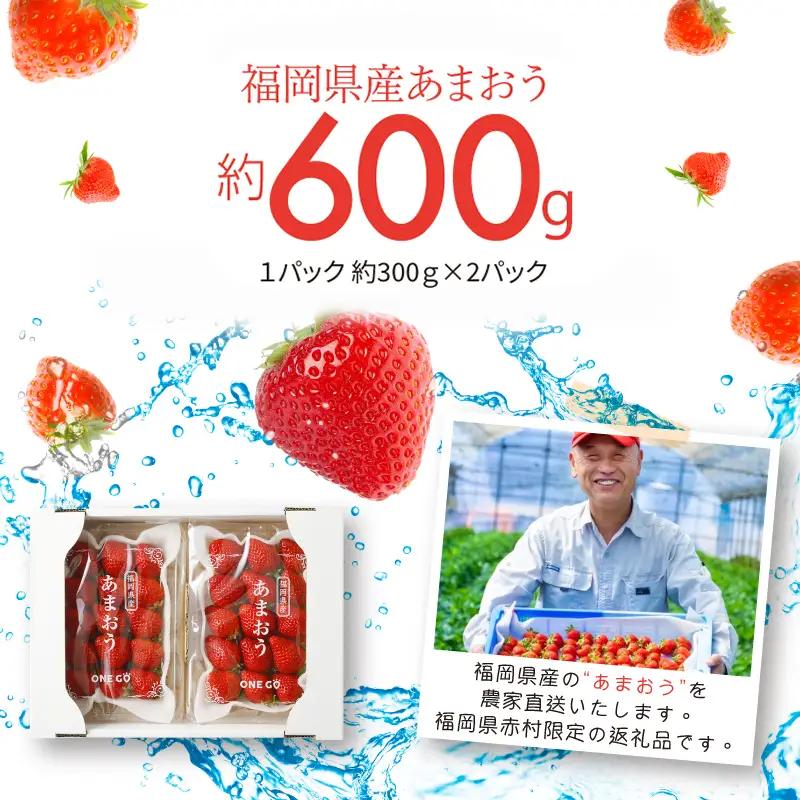 【先行予約／2027年出荷】【赤村限定】 福岡県ブランドいちご“あまおう” 農家直送【300g×2パック】 ふるさと納税 あまおう ブランドいちご フルーツ 果物 旬 イチゴ 苺 2Z6