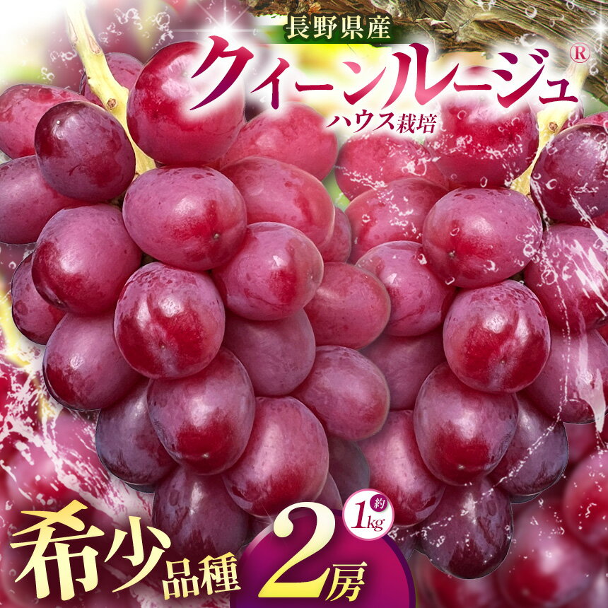 【ふるさと納税】【2026年先行予約】先行予約開始しました！クイーンルージュ®（ハウス栽培） 2房 約1kg【7月末～8月中旬にかけて順次発送予定】 | シャイン ぶどう 葡萄 ブドウ くだもの 果物 フルーツ クイーンルージュ® 先行 先行予約 旬 信州 塩尻市 長野