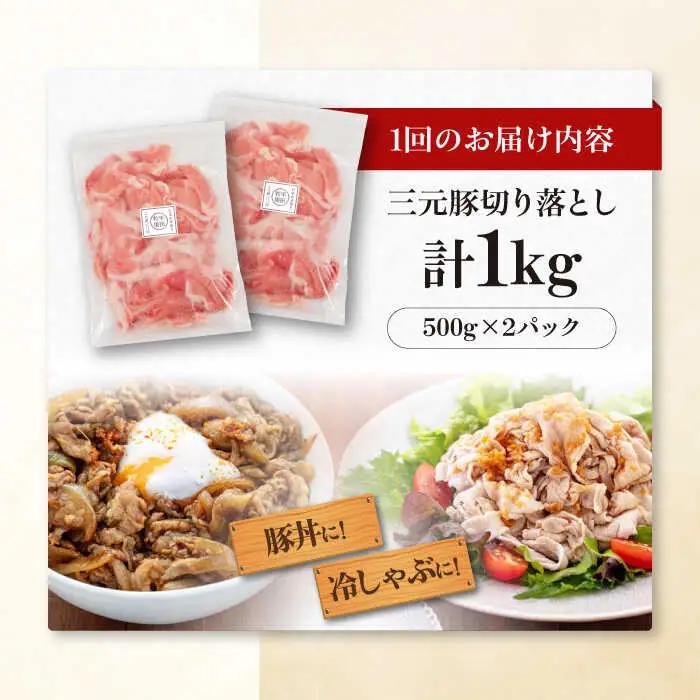 【全6回定期便】平田牧場 切り落とし 1kg (500g×2P)  豚肉 切り落とし 小分け [AJAP032]