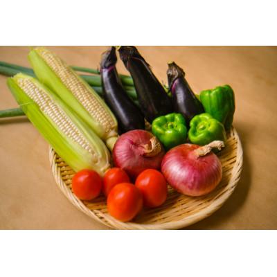 ふるさと納税 下妻市 【毎月定期便】農園自慢の情熱野菜セット7品(種類おまかせ)全5回 |  | 01