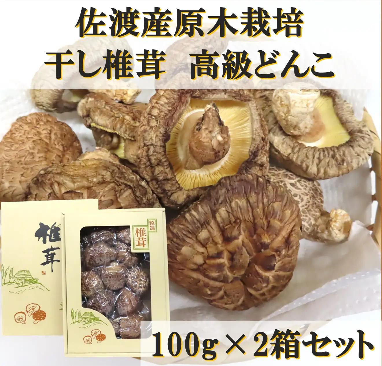 どんこしいたけ 100g 2箱 | 肉厚 新潟県 佐渡市 シイタケ