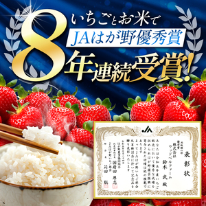 【2027年 先行予約】朝採れいちご とちあいか 700g ソフトパック
