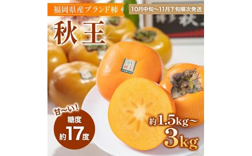 
                  期間限定 福岡県産ブランド柿「秋王」 約1.5・3kg 返礼品 お取り寄せグルメ お取り寄せ グルメ カキ かき 果物 フルーツ 南国フルーツ CO-S0005 CO011 CO012
                