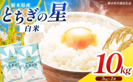 【栃木県共通返礼品】米 お米 とちぎの星 10kg 令和7年度産 | お米 精米 白米 大粒 小粒 ご飯 飯 こめ コメ 栃木県 那珂川町 送料無料