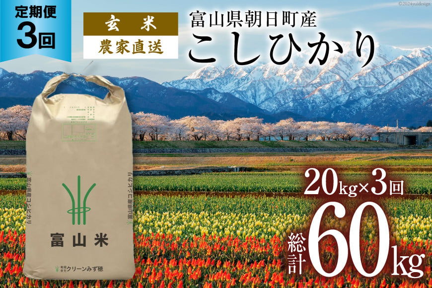 
            【3ヶ月定期便】玄米 20kg コシヒカリ 計60kg [有限会社 クリーンみず穂 富山県 朝日町 34310359] お米 コシヒカリ コメ ご飯 ごはん 白米 農家 直送 一等米
          