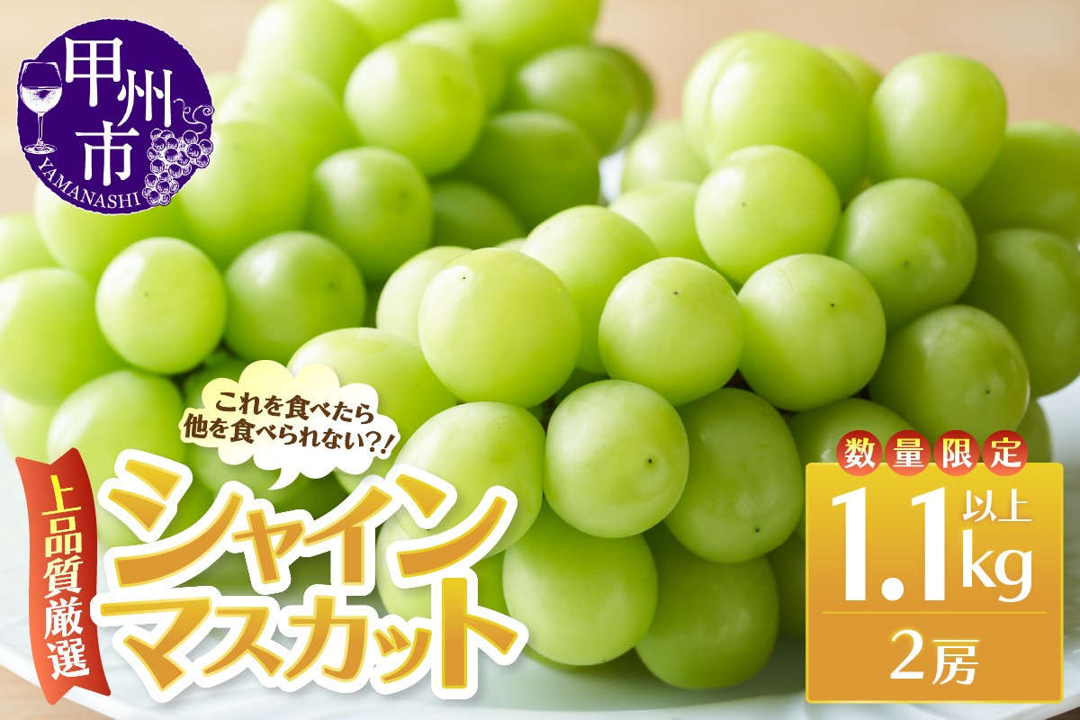 
                  上品質厳選！！のため数量限定 これを食べたら他を食べられない！シャインマスカット 1.1kg以上（2房入り）【2026年発送】（MRN）B-1471 【シャインマスカット 葡萄 ぶどう ブドウ 令和8年発送 期間限定 山梨県産 甲州市 フルーツ 果物 】
                