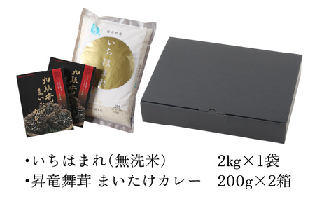 【福井のブランド米】【令和7年産】【特A獲得】いちほまれ無洗米＋九頭竜まいたけカレーセット