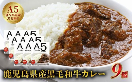 
027-92 5等級黒毛和牛カレー ごろごろお肉入り200gx9個
