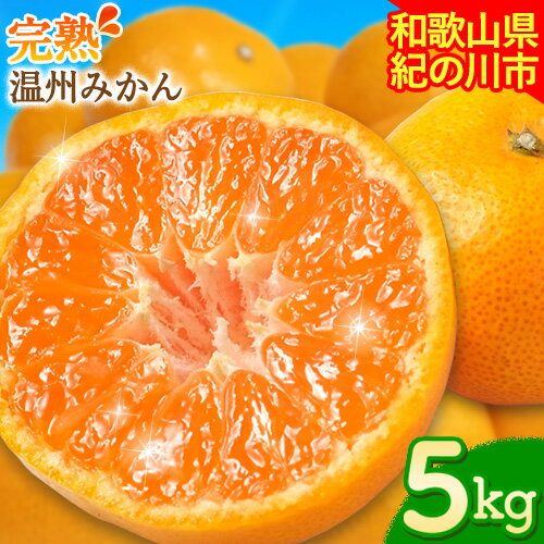 【先行予約】【ふるさと納税】完熟 温州みかん 約5kg (45~55玉) こだまファーム《2025年10月中旬-2026年2月中旬頃出荷》 和歌山県 紀の川市 みかん ミカン 果物 フルーツ