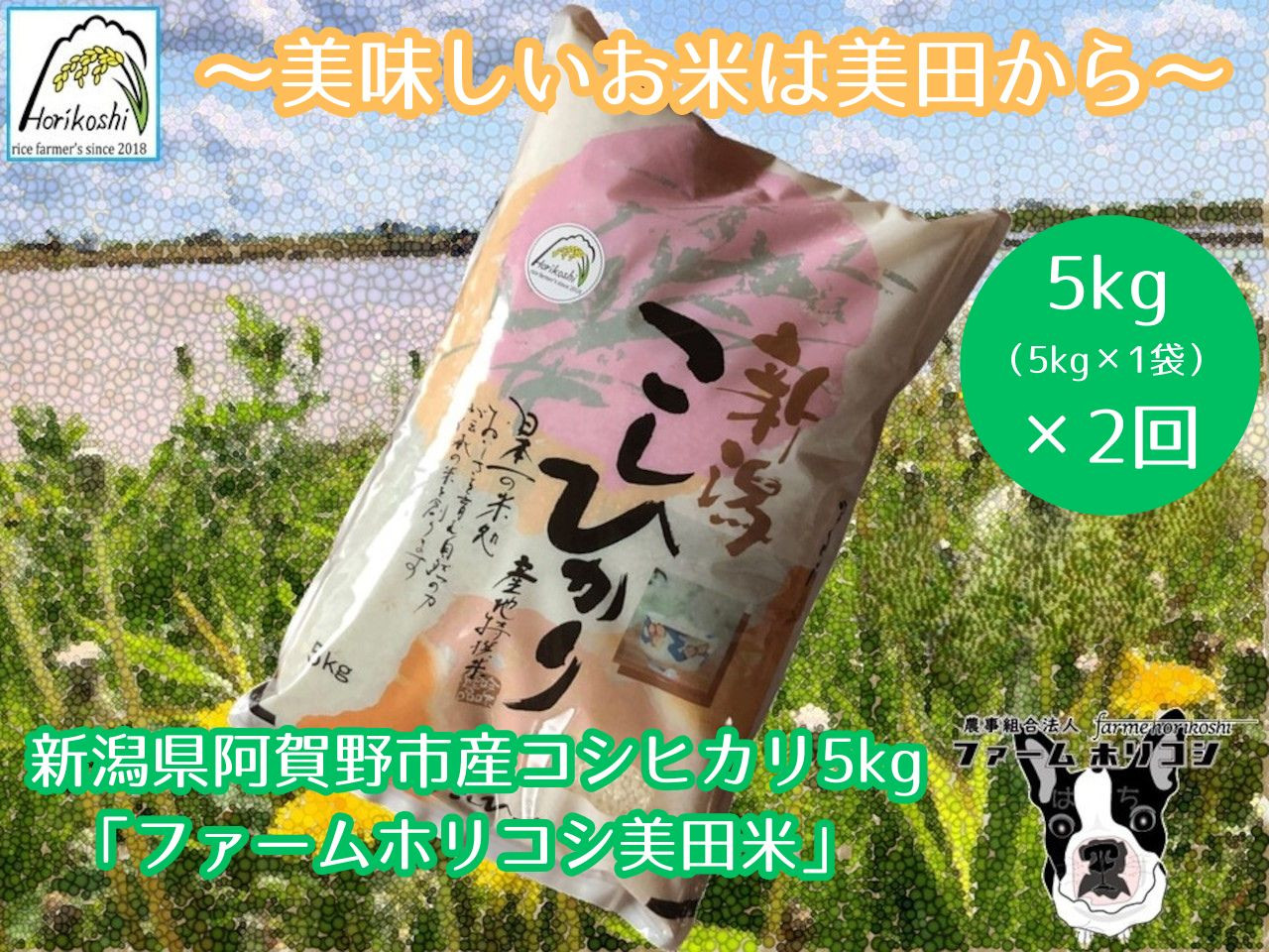 
            【令和7年産新米】【2ヶ月定期便】阿賀野市産 コシヒカリ 「ファームホリコシ美田米」 5kg×2回  白米 精米 3H05027
          