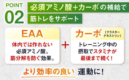 IZMO WORKOUT EAA 450g シトラス風味 1個 サプリ 健康 筋トレ 島根県雲南市/株式会社アルプロン[AIAL049]