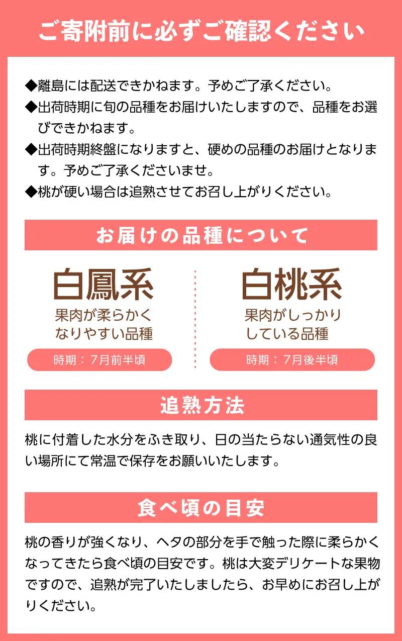 〈2027年度配送分〉甲府市産 訳あり桃 約2kg（4～8玉） 桃 フルーツ