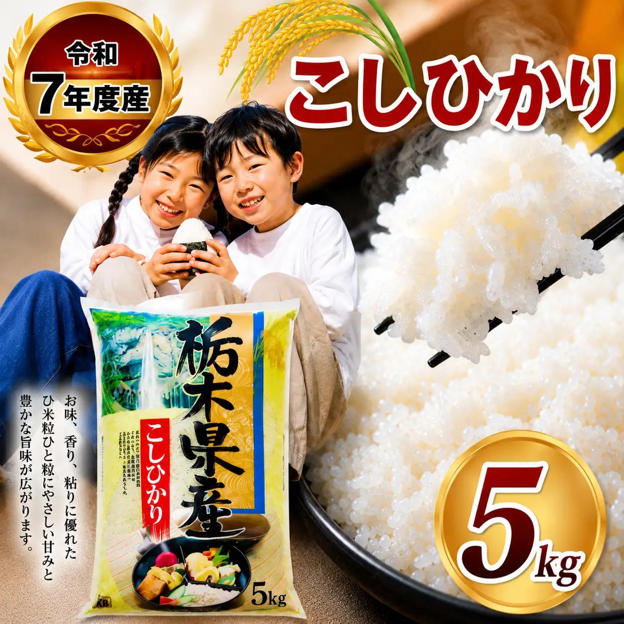 【栃木県共通返礼品】令和7年度産 栃木県産 こしひかり 5kg 