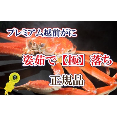 桐箱入り!越前の宝【極】落ち　プレミアム越前がに × 1杯 ≪浜茹で≫【2・3月発送分】【配送不可地域：離島】【1374328】