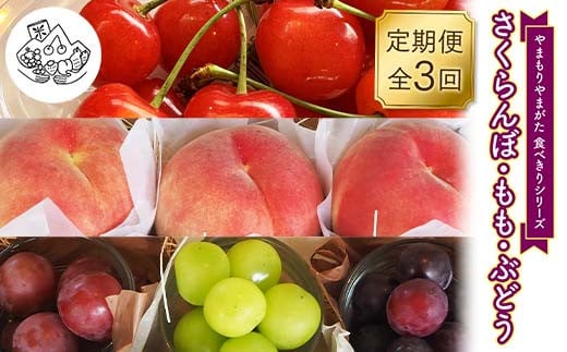 【先行予約 2026年度発送】《食べきりシリーズ》～さくらんぼ・もも・ぶどう～ FSY-2330