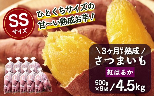 
                  【先行予約：2027年1月上旬配送～】熟成 さつまいも 紅はるか 4.5kg (500g×9袋) SSサイズ FR-302 ｜ 秋の味覚 2026年秋収穫 貯蔵 長期熟成 糖化 さつまいも サツマイモ 感動サツマイモ 焼き芋 べにはるか 小ぶり 野菜 ねっとり 濃厚 おやつ おかず お弁当 煮物 芋ごはん 味噌汁 産地直送 鹿児島県 南大隅町 株式会社フォレスト
                