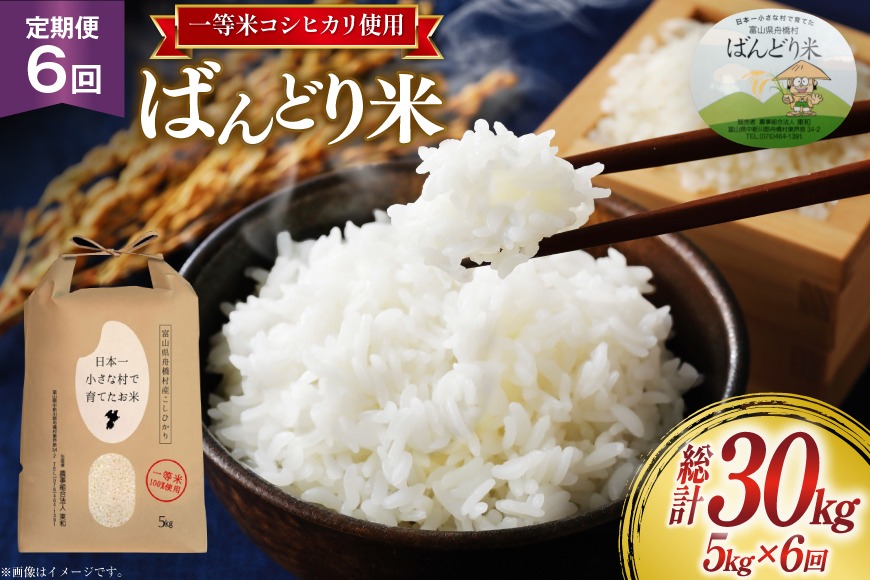 米 新米 令和8年 ばんどり米 コシヒカリ 精米 5kg 6回 定期便 総計30kg  [農事組合法人東和 富山県 舟橋村 57050215] 一等米 コメ お米 白米 ごはん ご飯 こしひかり 5キロ ブランド米 美味しい 富山 農家 ふるさと納税