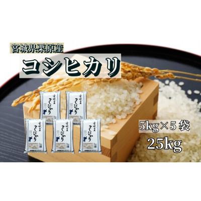 ふるさと納税 栗原市 【令和7年産】宮城栗原産 コシヒカリ 白米25kg (5kg×5袋)
