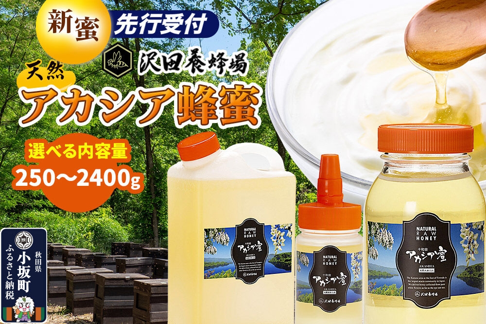 
                  《先行受付》【新蜜】はちみつ 天然十和田 アカシア蜂蜜 【選べる内容量 250g／500g／1200g ビン・ポリ缶／2400g ビン・ポリ缶】 [新蜜 国産 蜂蜜 はちみつ ハチミツ アカシア 朝食 沢田養蜂場]
                