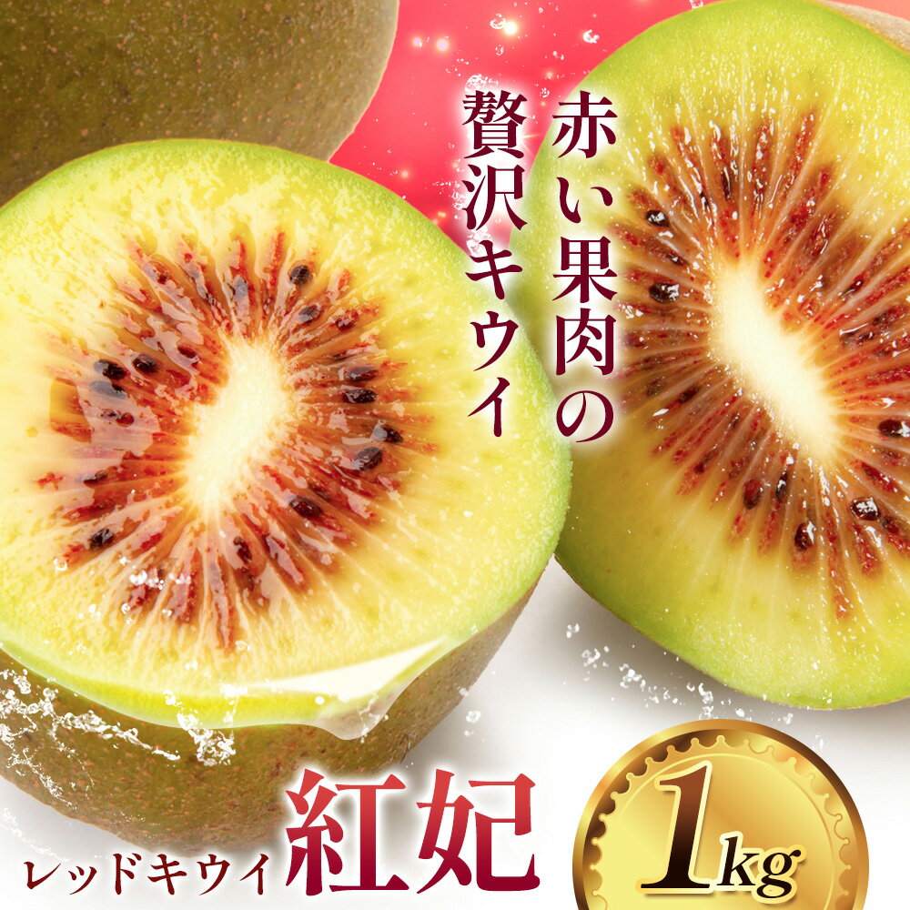 【ふるさと納税】キウイ レッドキウイ 紅妃 1kg 10個 ～ 15個 株式会社ヤマナカ《11月上旬-11月下旬頃出荷》茨城県 結城市 キウイフルーツ フルーツ 旬 果物 冷蔵便 送料無料