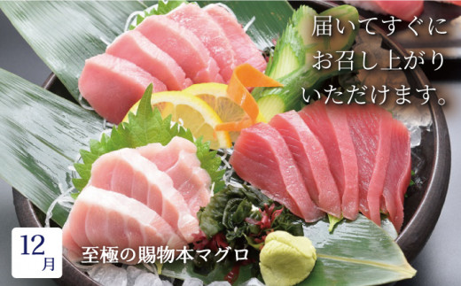 【6回定期便】平戸逸品四季の彩り海物語【平戸さくら水産】[KAA218]