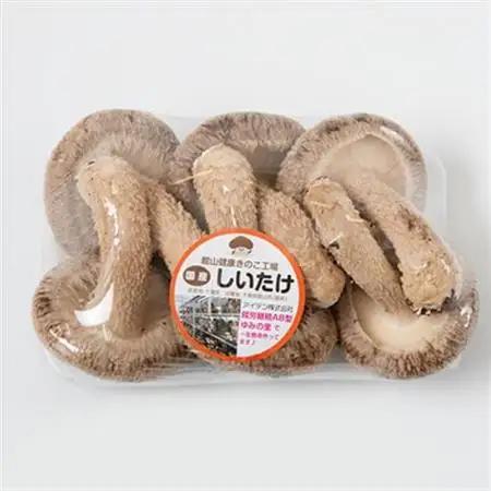 【農福連携】千葉県館山産 生しいたけ110g×5パック 就労継続支援A/B型併用事業所「ゆみの里」【配送不可地域：離島・沖縄県】【1486687】