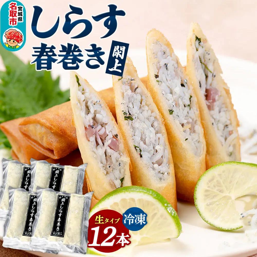 閖上（ゆりあげ） しらす 春巻き（生12本）冷凍 冷凍食品 惣菜 パリパリ おつまみ おかず お弁当 冷凍 中華惣菜 簡単 漁亭 浜や 宮城県 名取市