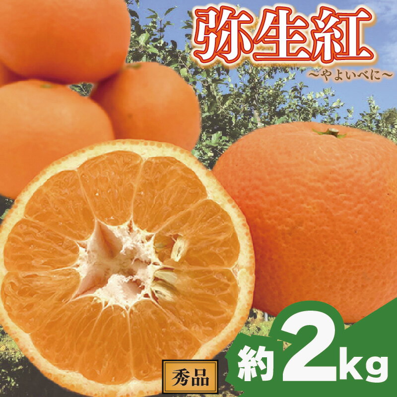【ふるさと納税】 【先行予約】 完熟いよかん 【弥生紅】 (秀品・ギフトBOX入) 約2kg | いよかん 伊予柑 柑橘 みかん 蜜柑 mikan 檸檬 オレンジ おれんじ かんきつ 【2026年2月上旬頃から発送予定】 愛媛県 松山市 ココオ Koko'o
